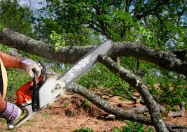 Best Lot and Land Clearing  in Byers, CO