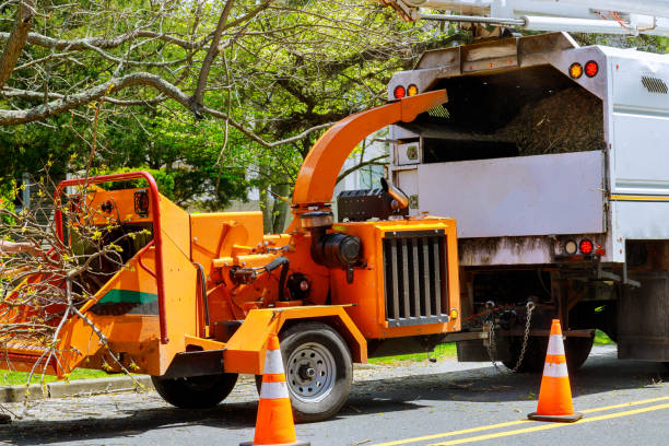 Mulching Services in Byers, CO