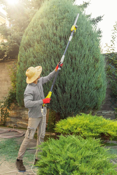 Best Lawn Pest Prevention  in Byers, CO